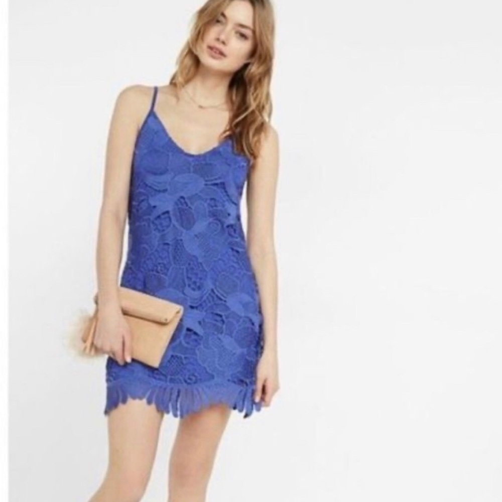 Express Dark Periwinkle Blue Crocheted Mini Dress